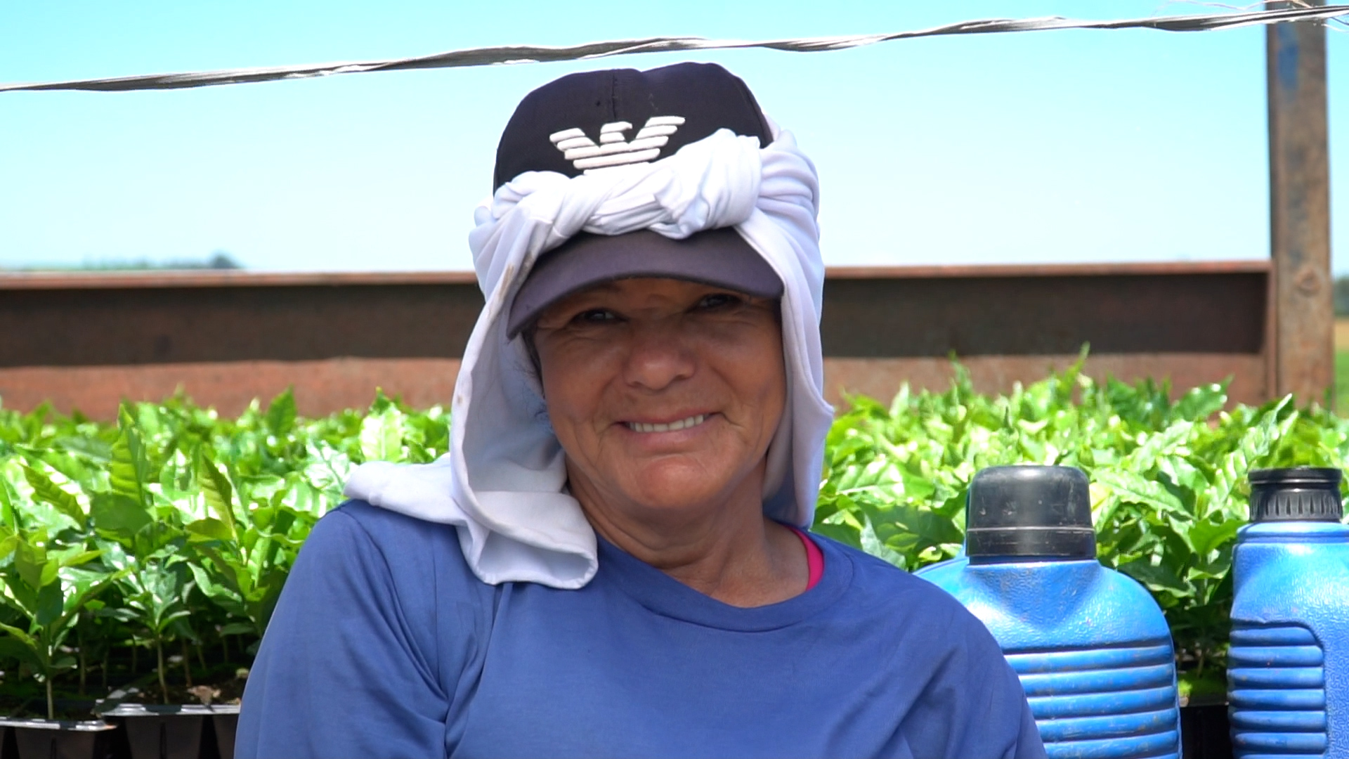 Trabalho no campo