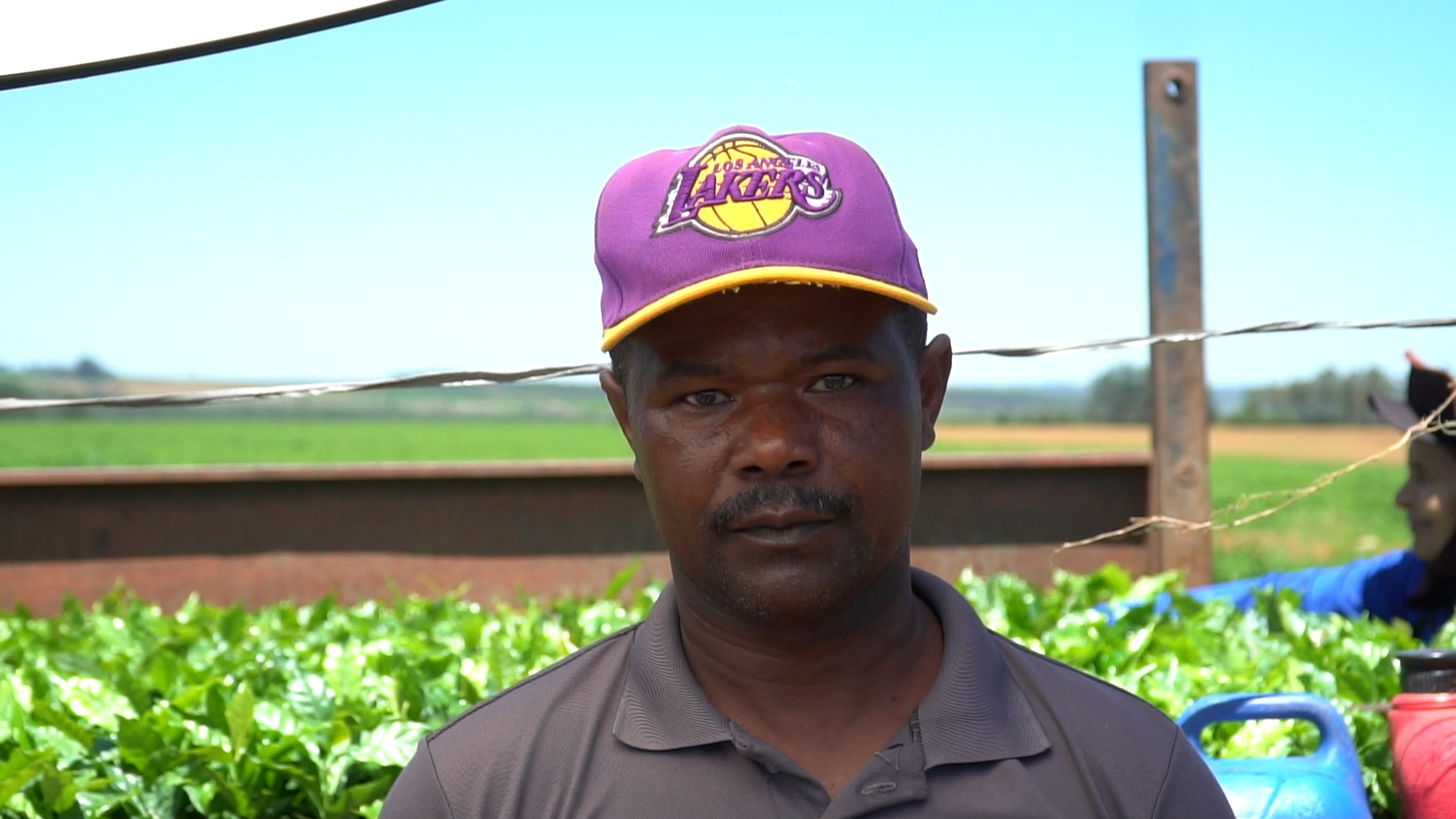 Produção agrícola